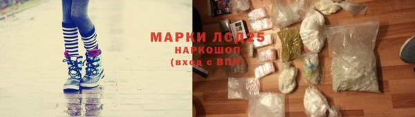 стафф Баксан