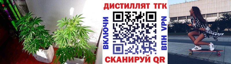 что такое   Благодарный  Дистиллят ТГК вейп с тгк 